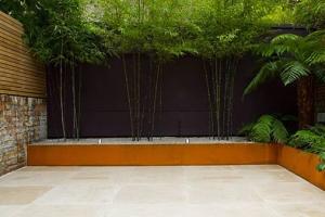 Уход за комнатным растением бамбук в домашних условиях