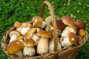 Как готовить сушеные грибы, в каких блюдах использовать?