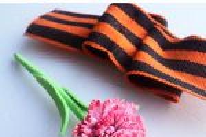 Carnation crochet pattern with photo