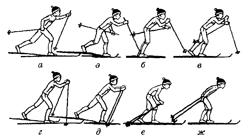 Попеременные хода в лыжном спорте. Попеременный четырехшажный ход на лыжах. Попеременный двухшажный ход на лыжах. Попеременный двухшажный ход на лыжах техника. Техника лыжных ходов попеременный ход.